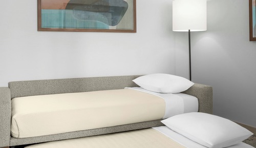 Studio Suite, 2 Queen bed with Sofa Bed (Mobility Accessible, Roll-In Shower)