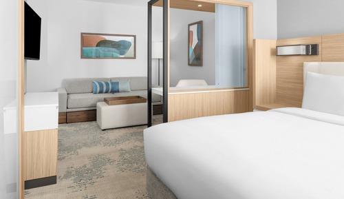 Suite, 1 King Bed with Sofa bed