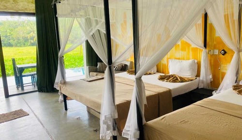 Superior Room, Pool View