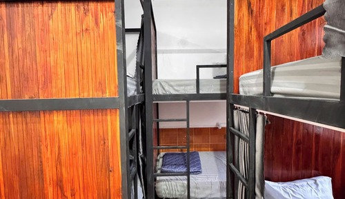 Standard Shared Dormitory, Garden View
