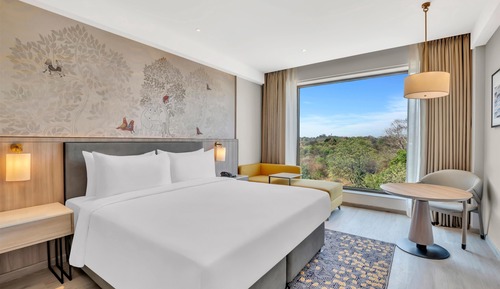 Room, 1 King Bed