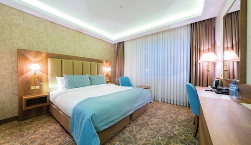 Classic Double Room, Mountain View