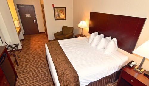 Room, 1 King Bed, Non Smoking