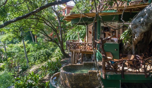 Jungle Love Nest-Ocean View