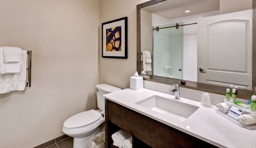 Suite, 1 King Bed, Accessible (Communications)