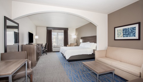 Suite, 1 King Bed with Sofa bed