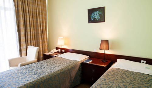 Deluxe Twin Room, 1 Bedroom, Lake View, Lakeside