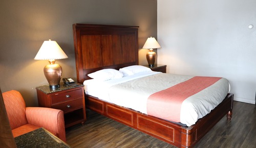 Room, 1 Queen Bed