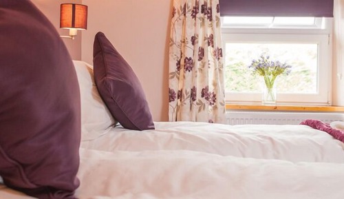 Twin Room, Private Bathroom (Llanerch)