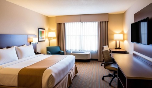 Room, 1 King Bed, Non Smoking