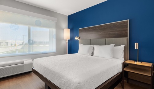 Room, 1 King Bed
