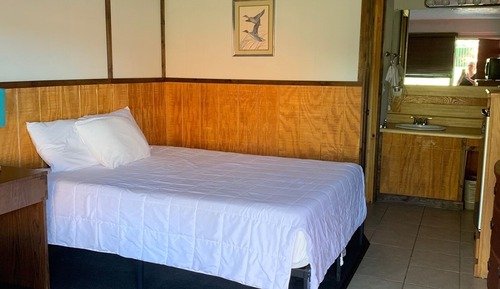 Basic Single Room, 1 Queen Bed