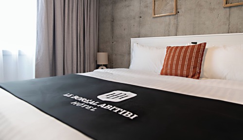 Classic Suite, 1 Queen Bed with Sofa bed