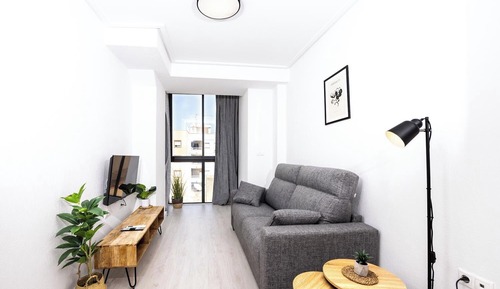 Basic Apartment