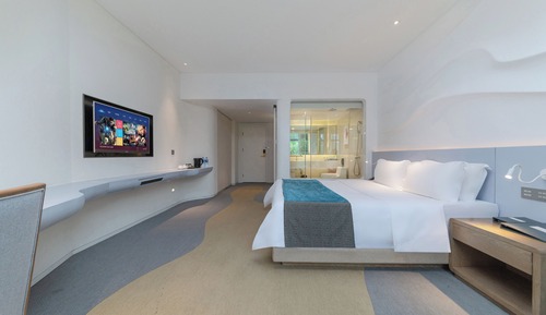Deluxe Mountain View Double Bed Room