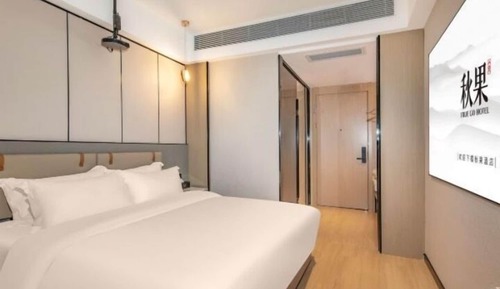 Comfort Single Room