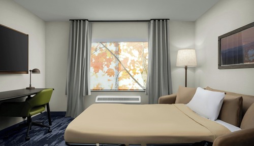 Suite, 1 King Bed with Sofa bed
