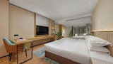 Executive Room, City View