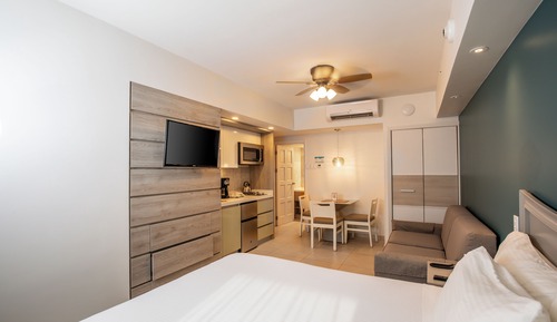 Studio, 1 King Bed with Sofa bed, Non Smoking, Private Bathroom