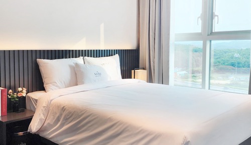 Panoramic Studio Suite