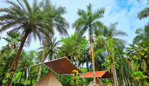 Basic Tent, River View