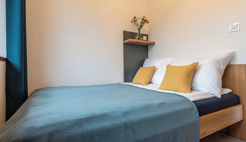 Deluxe Apartment, 1 Bedroom, Fireplace, Mountain View