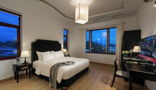 Panoramic Studio Suite