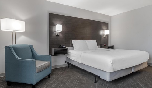 Standard Room, 1 King Bed, Accessible, Refrigerator & Microwave (Walk-in Shower;with Sofabed)