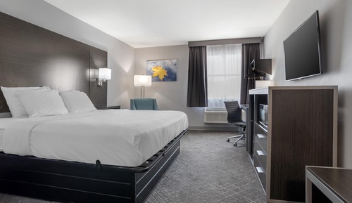 Standard Room, 1 King Bed, Non Smoking, Refrigerator & Microwave