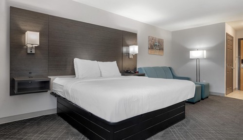 Standard Room, 1 King Bed, Non Smoking, Refrigerator & Microwave (with Sofabed)