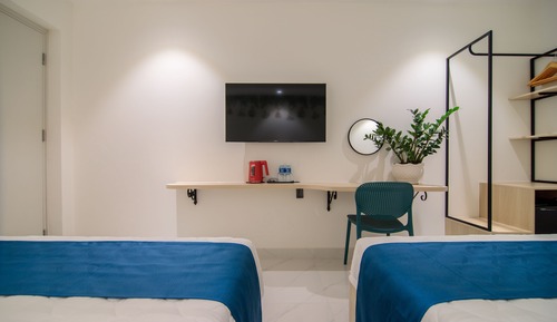 Deluxe Double or Twin Room