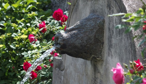 La Sorgente al Roseto del Drago