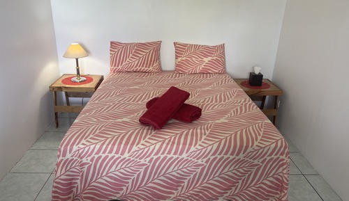 Basic Apartment