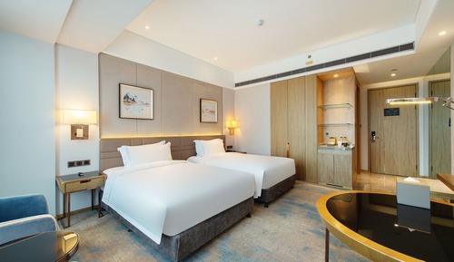 Luxury Room