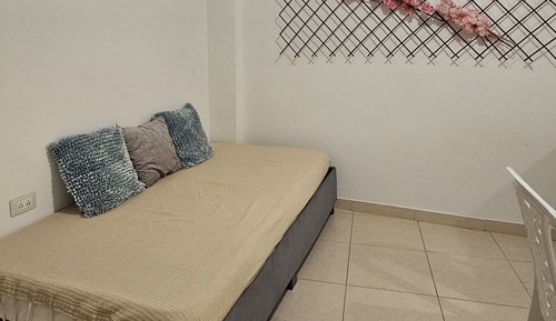 Basic Apartment
