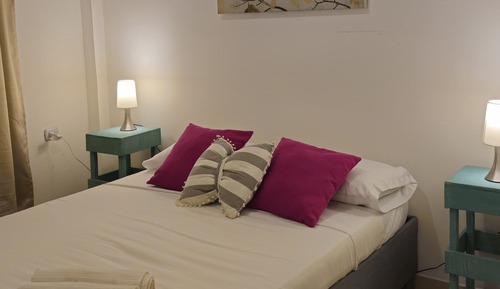 Basic Apartment