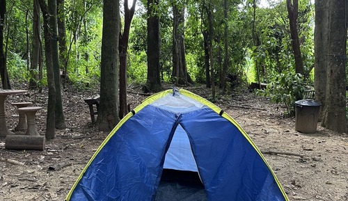 Basic Tent