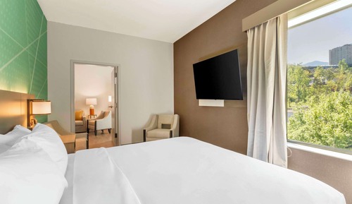 Suite (One Bed King, Handicapped, HEARING)