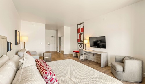 Single King Suite