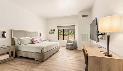 Single King Room, Accessible