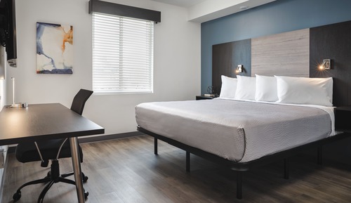 Standard Suite, 1 King Bed with Sofa bed, Kitchen