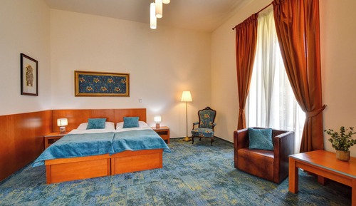 Deluxe Double or Twin Room