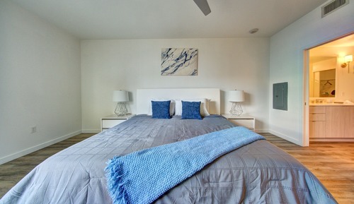 Luxury Apartment