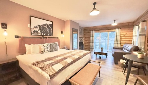 Room, 1 King Bed with Sofa bed