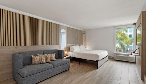 Standard Room, 1 King Bed with Sofa bed
