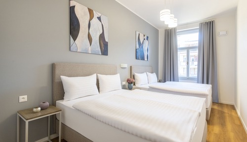 Deluxe One Bedroom Apartment