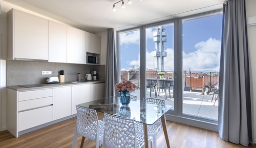 Executive Apartment with Terrace