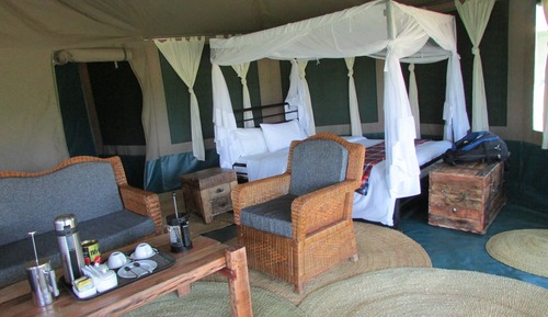 Luxury Single Room