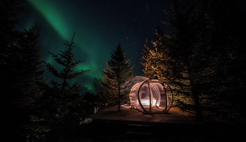 Standard Tent
