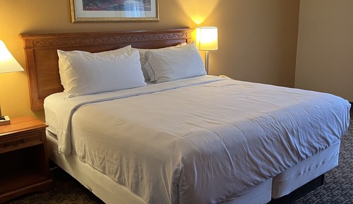 Standard Room, 1 King Bed, Non Smoking